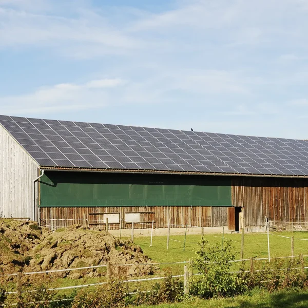 Sigg Holzbau Thayngen | Solaranlage Photovoltaik